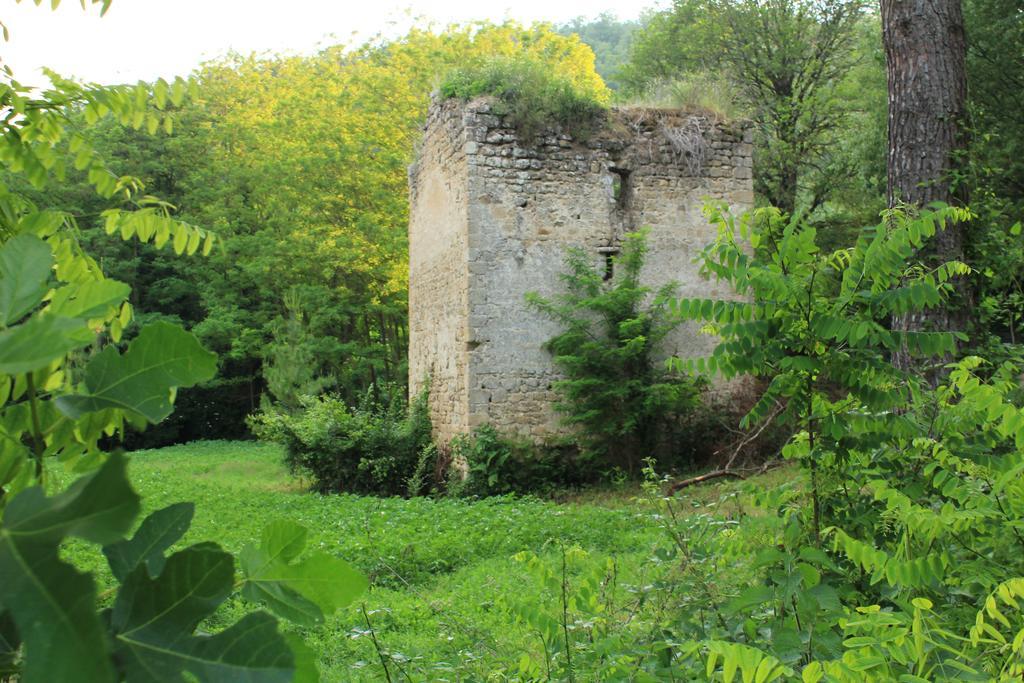 Villa Il Molinaccio Al Rio Chiaro à Civitella dʼAgliano Extérieur photo